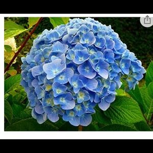 Meet your Posher, Sandy